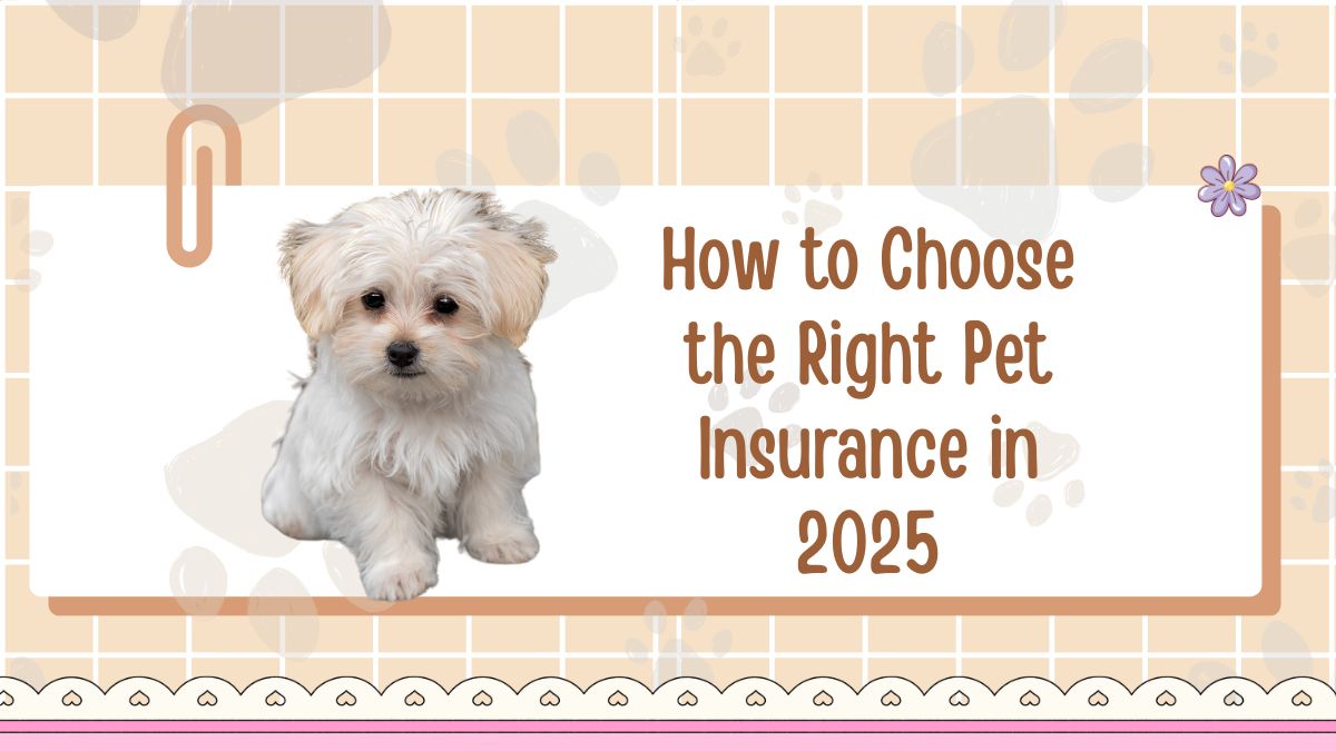 How to Choose the Right Pet Insurance in 2025