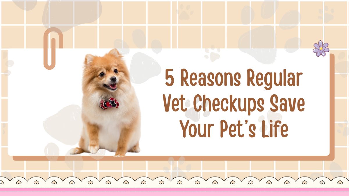 5 Reasons Regular Vet Checkups Save Your Pet’s Life
