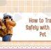 How to Travel Safely with Your Pet