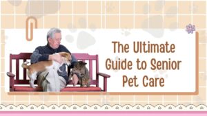 The Ultimate Guide to Senior Pet Care