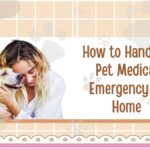 How to Handle a Pet Medical Emergency at Home