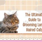 The Ultimate Guide to Grooming Long-Haired Cats