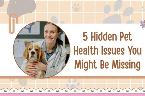 5 Hidden Pet Health Issues You Might Be Missing