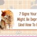 7 Signs Your Cat Might Be Depressed (And How To Help)