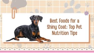 Best Foods for a Shiny Coat: Top Pet Nutrition Tips