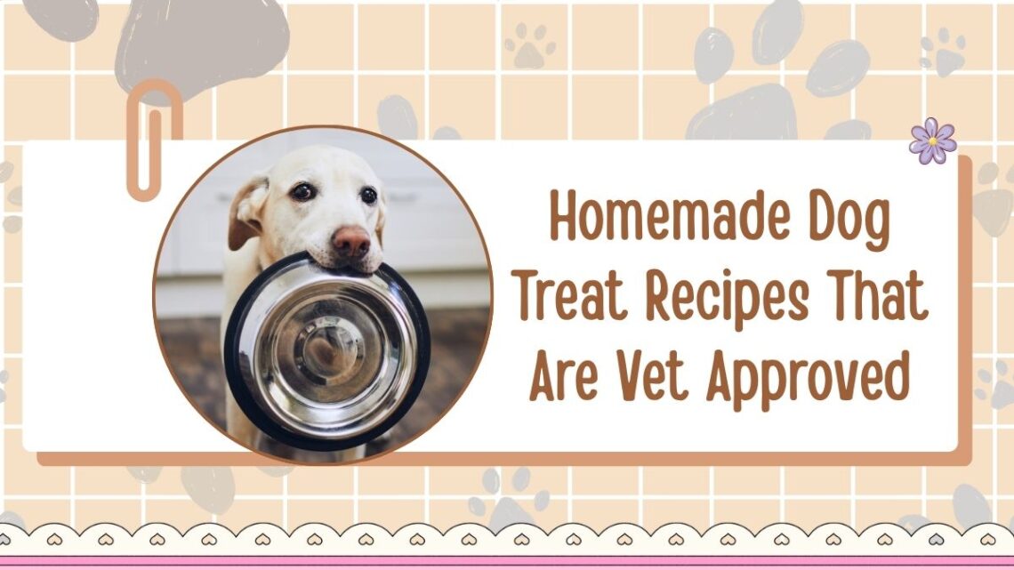 Homemade Dog Treat Recipes That Are Vet Approved