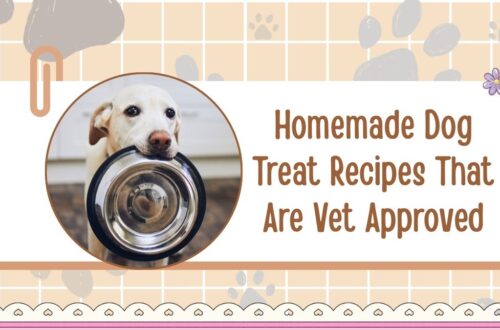 Homemade Dog Treat Recipes That Are Vet Approved