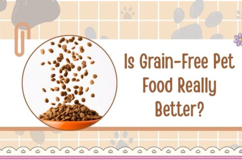 Is Grain-Free Pet Food Really Better?