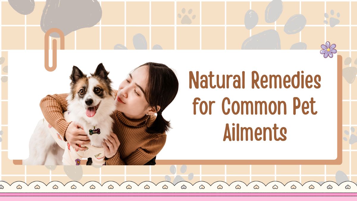 Natural Remedies for Common Pet Ailments