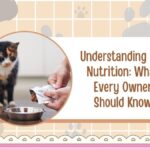 Understanding Cat Nutrition: What Every Owner Should Know