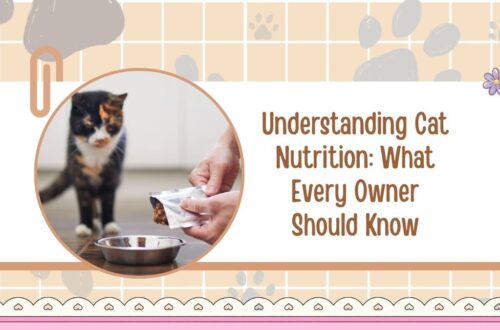 Understanding Cat Nutrition: What Every Owner Should Know